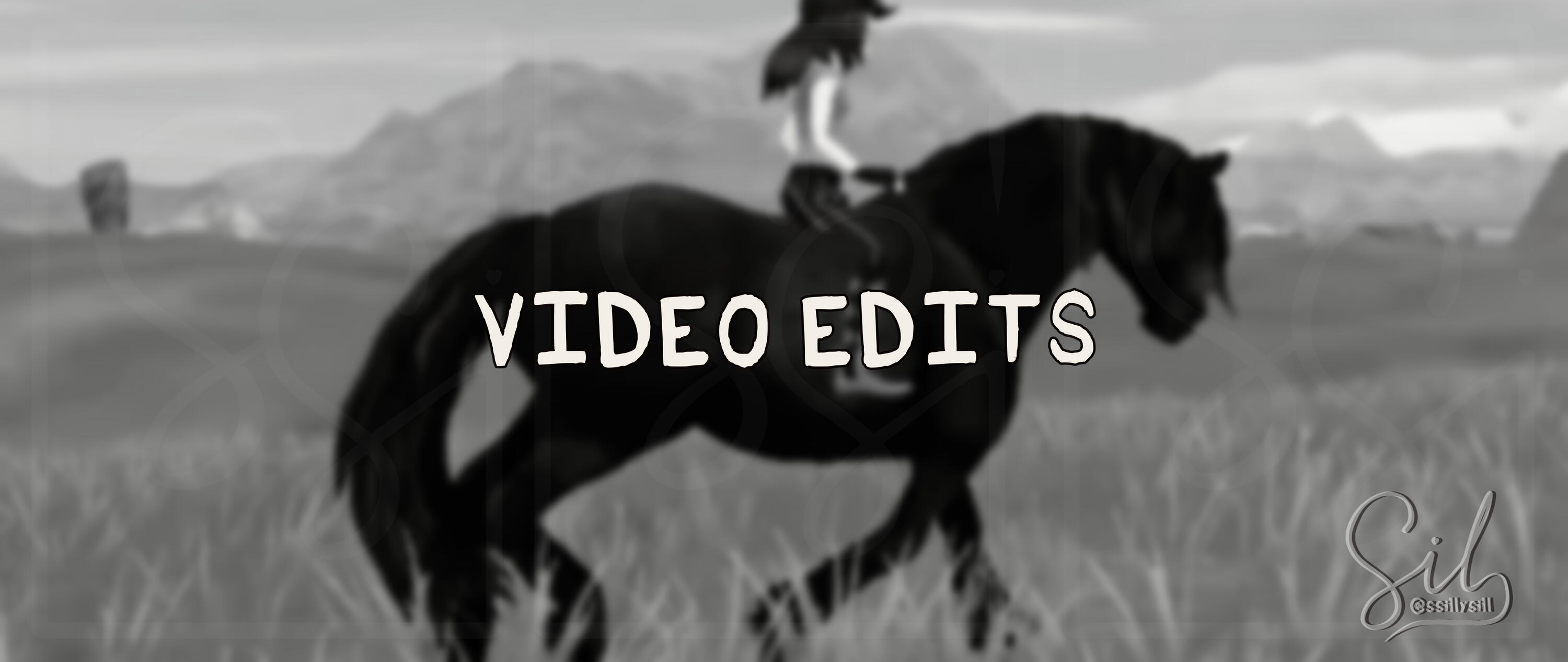 Video Edits